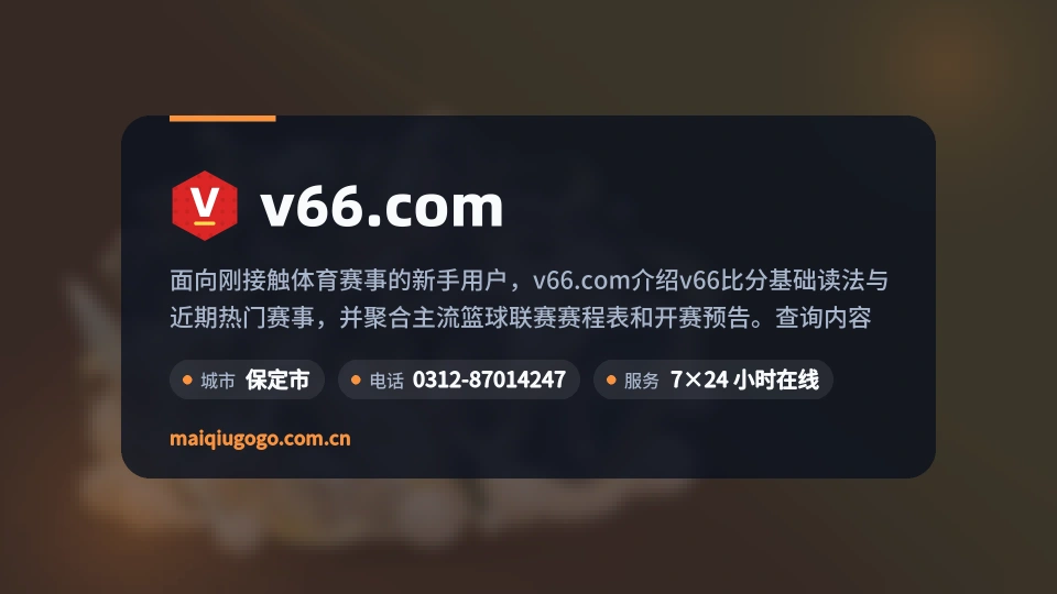 v66.com是谁